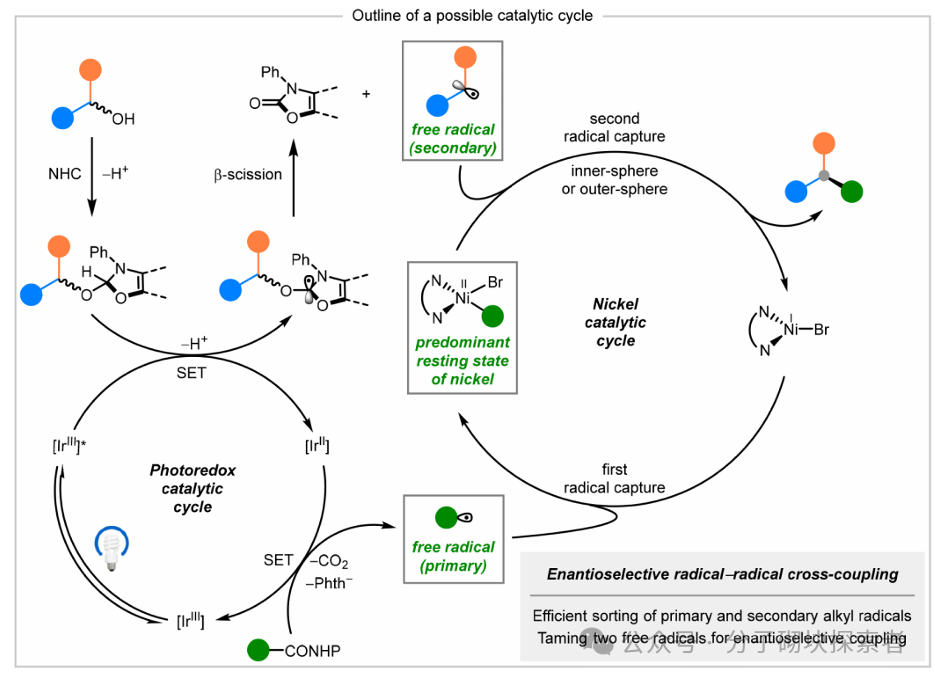 Synergistic Construction of Chiral Carbon Centers via Photocatalytic Nickel Catalysis