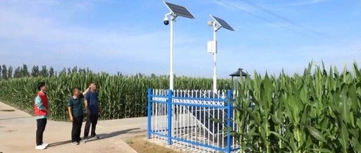 IoT Enables Precise Prediction of Drought and Pest Conditions for Corn Growth in Cheng'an