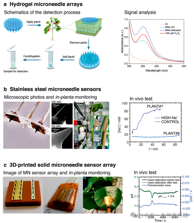Microneedle Sensors for Plant Ion Monitoring: A Step Towards Smart Agriculture