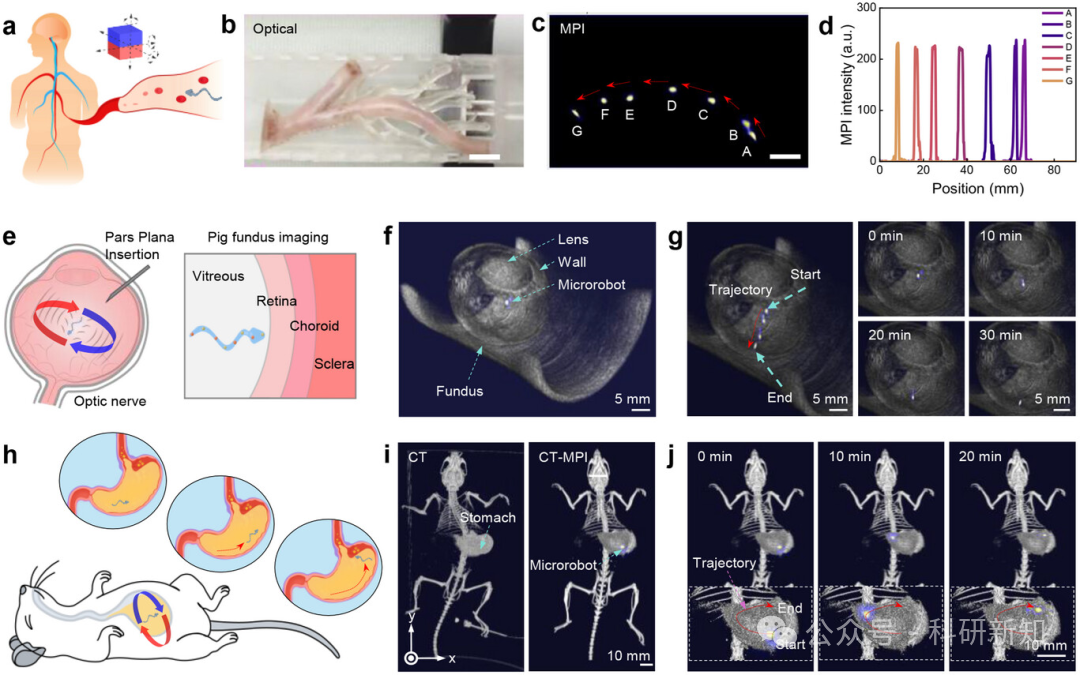 Research Update: 3D-Printed Hydrogel Microrobots with Integrated Magnetic Actuation, Magnetic Particle Imaging, and Magnetic Hyperthermia Functions