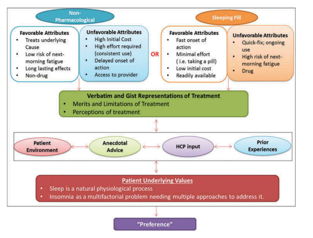 What is the 'Fuzzy Trace Theory' in Nursing Theory? Exploring Its Principles, Applications, and Future Research Potential