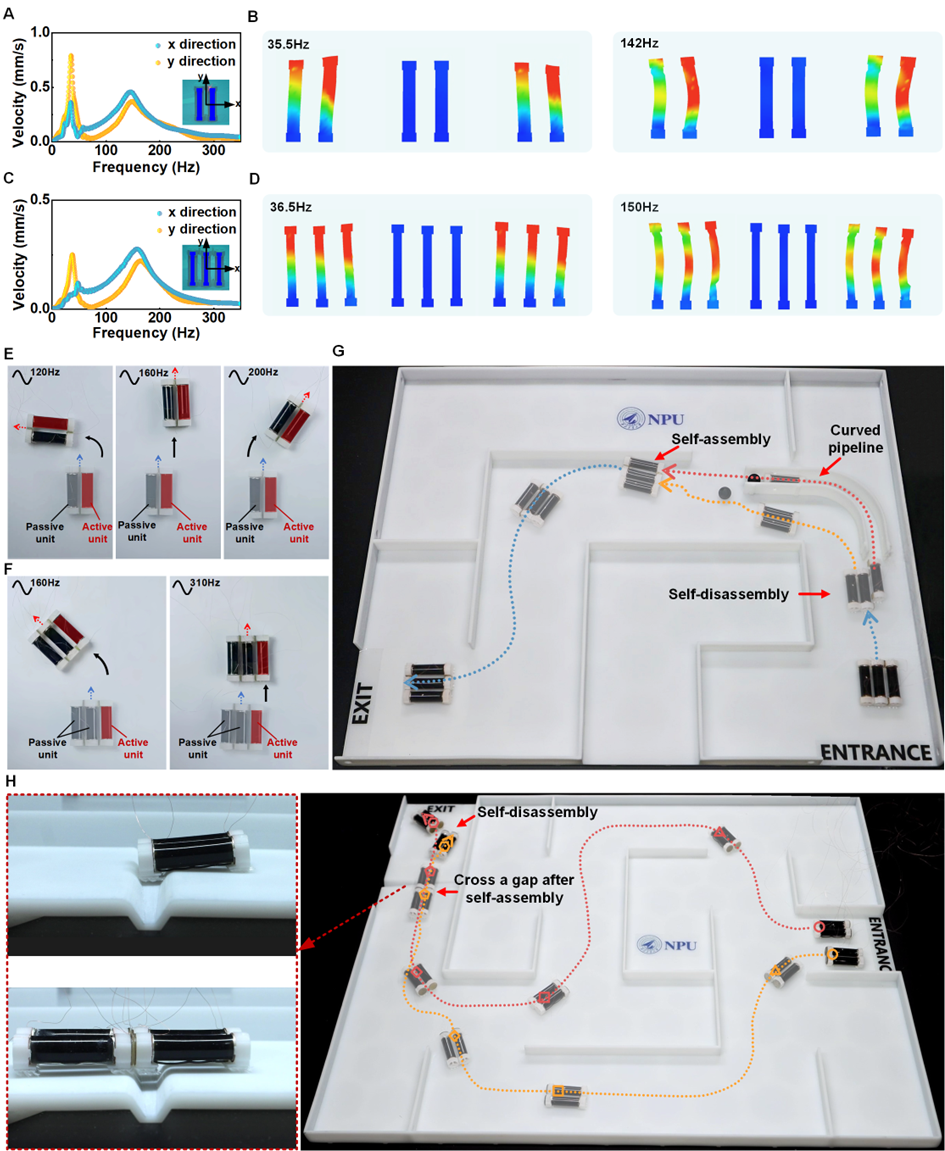Maze Navigation and Ice Melting! A Multi-functional Micro Robot Developed at Northwestern Polytechnical University!