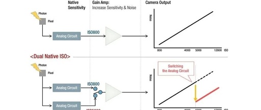 Understanding Sensors: Native ISO and Extended ISO