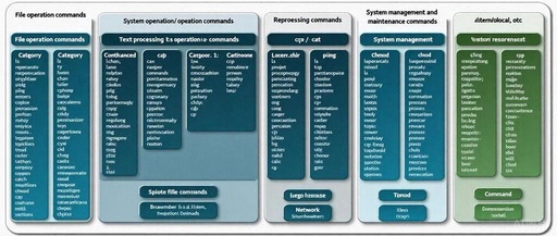 Comprehensive Guide to Common Linux Commands