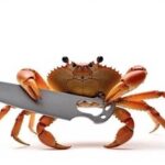 Understanding Variable Mutability in Rust