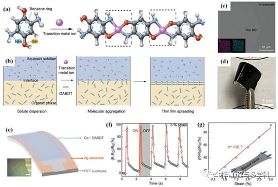 Design Strategies and Applications of Wearable Piezoresistive Strain Sensors with Dimensionality-Based Conductive Network Structures