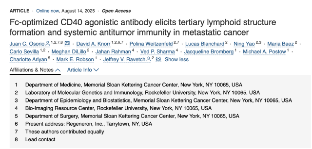 Southern Medical University Study: Vitamin C Combined with Immunotherapy Breaks Through Lung Cancer Drug Resistance