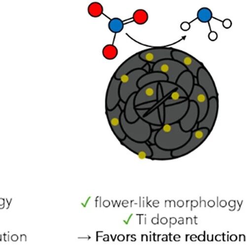 Titanium-Nitrogen-Doped Carbon Flowers Achieve Over 60% Selectivity for Ammonia in Alkaline Nitrate Reduction Reaction