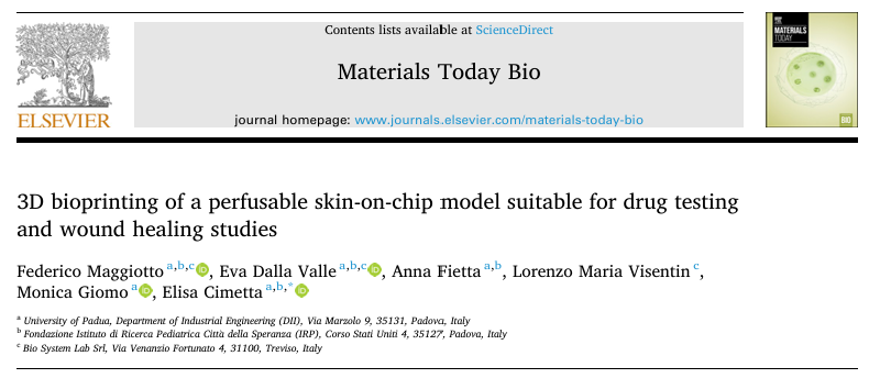 Mater Today Bio: Innovative 3D Bioprinted Vascularized Skin Models with Nutrient Channels for Enhanced Wound Healing and Reliable Drug Testing