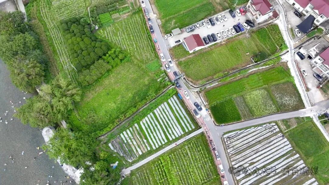 What Makes Xintang Village Popular This Summer?