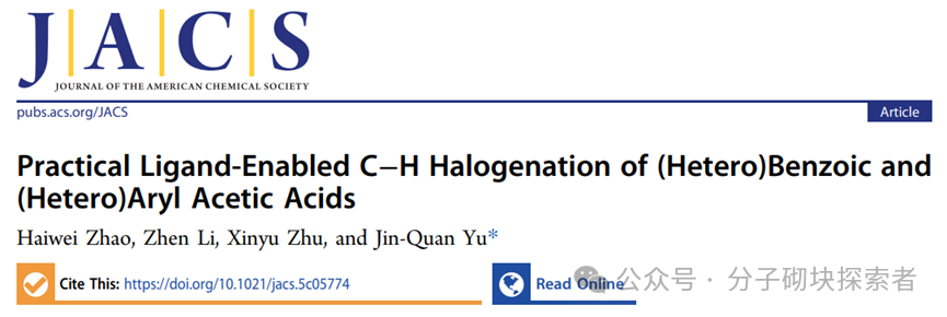 New Horizons in C–H Bond Halogenation Technology: A Practical Ligand Facilitating Efficient Halogenation of Aromatic Rings