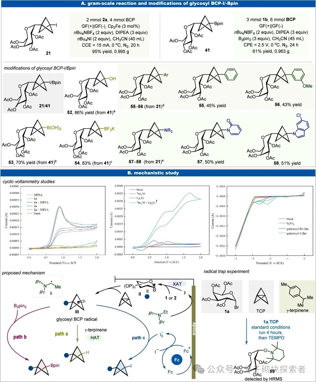 Unlocking Chemical Space: Electrochemically Driven Synthesis of Glycosyl Bicyclo[1.1.1]pentane Frameworks