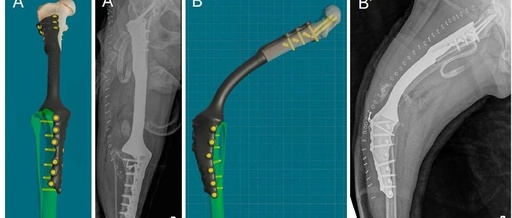 Golden Retriever Successfully Preserves Limb! 3D Printing and Precision Surgery Achieve Breakthrough in Chondrosarcoma Treatment