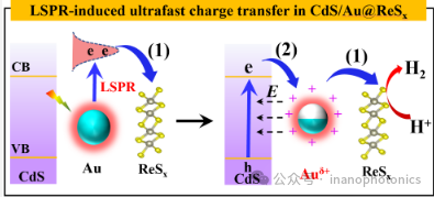 Plasmon-Induced Ultrafast Interfacial Charge Transfer for Enhanced Photocatalytic Hydrogen Evolution