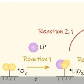 Ab Initio Molecular Dynamics Simulation of Co-N-C Single-Atom Catalysts at the Electrolyte Interface for Oxygen Reduction Reaction