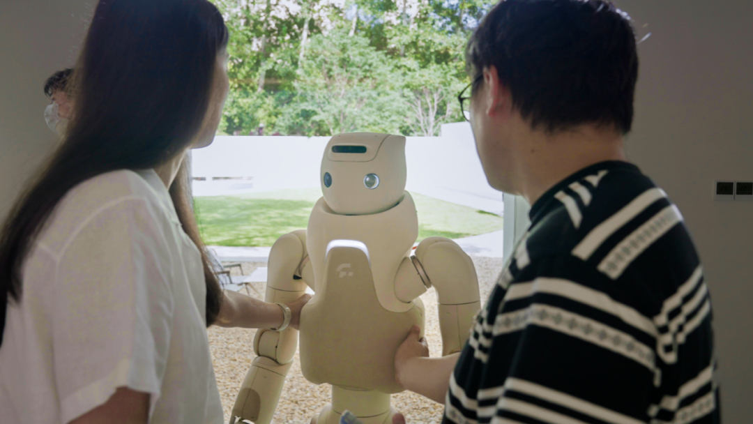 AI Companion Robots: A New Possibility for Humanoid Robots?