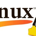 Essential Interview Skills (Often Overlooked): Detailed Explanation of the Linux Boot Process