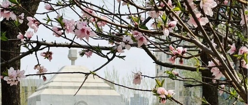 Using Google Test Library for Unit Testing with CMake