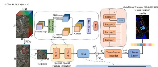 A Synergistic CNN-Transformer Network with Pooling Attention Fusion for Hyperspectral Image Classification