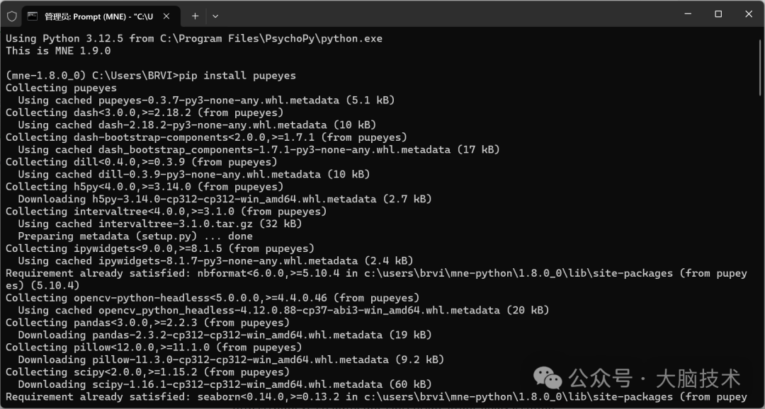 Eye Movement Data Preprocessing and Visualization Using the Python PupEyes Library