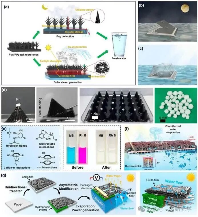 Academic Focus: Structural and Functional Customization of Interfacial Solar Evaporators Using 3D Printing Technology