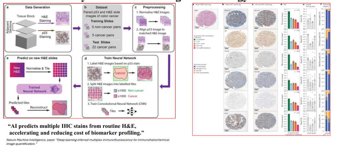 Biomarkers for ADCs: IHC and Beyond