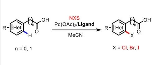 New Horizons in C–H Bond Halogenation Technology: A Practical Ligand Facilitating Efficient Halogenation of Aromatic Rings