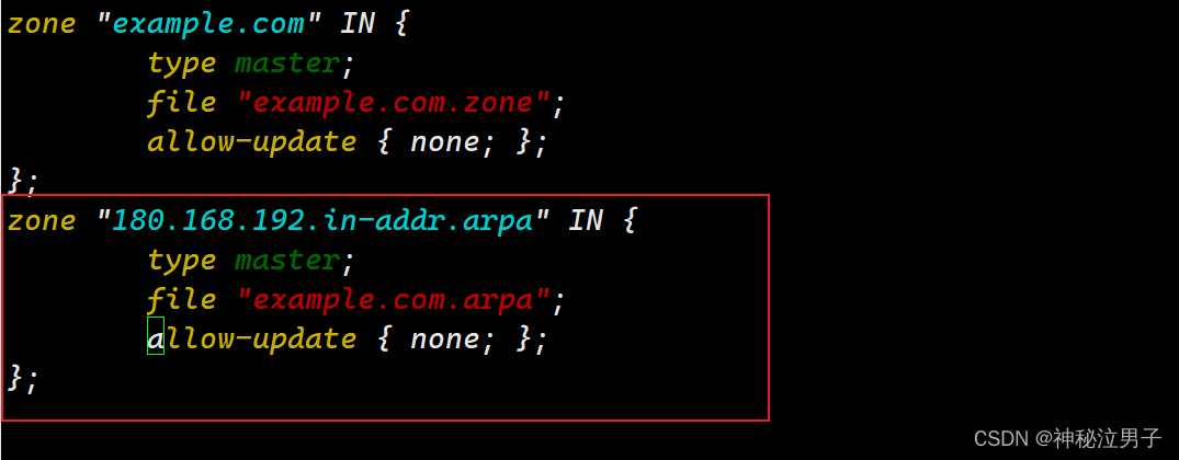 Setting Up a DNS Domain Name Resolution Server on Linux (Detailed Version)