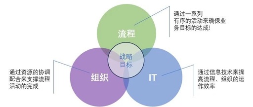 Processes and IT: The Dual Management System of Modern Organizations