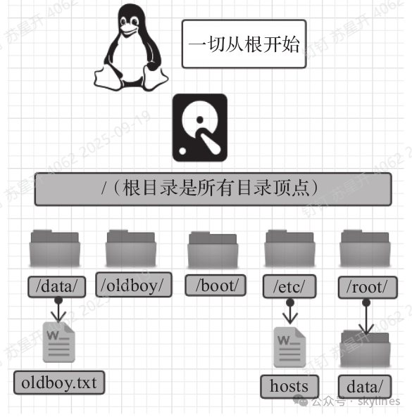 Creating Volume Groups and Online Expansion in Linux Operating System