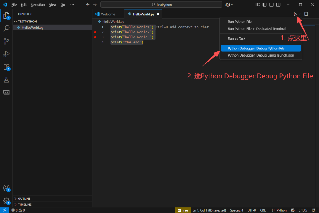 Debugging Your First Python Program in VS Code