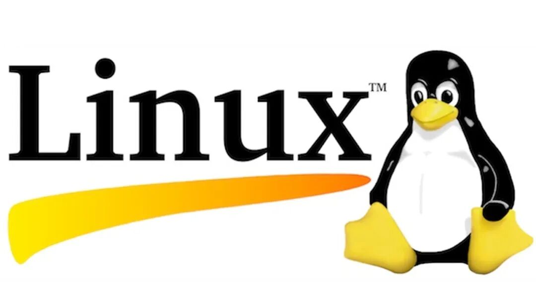 Installing and Using MinIO on Linux