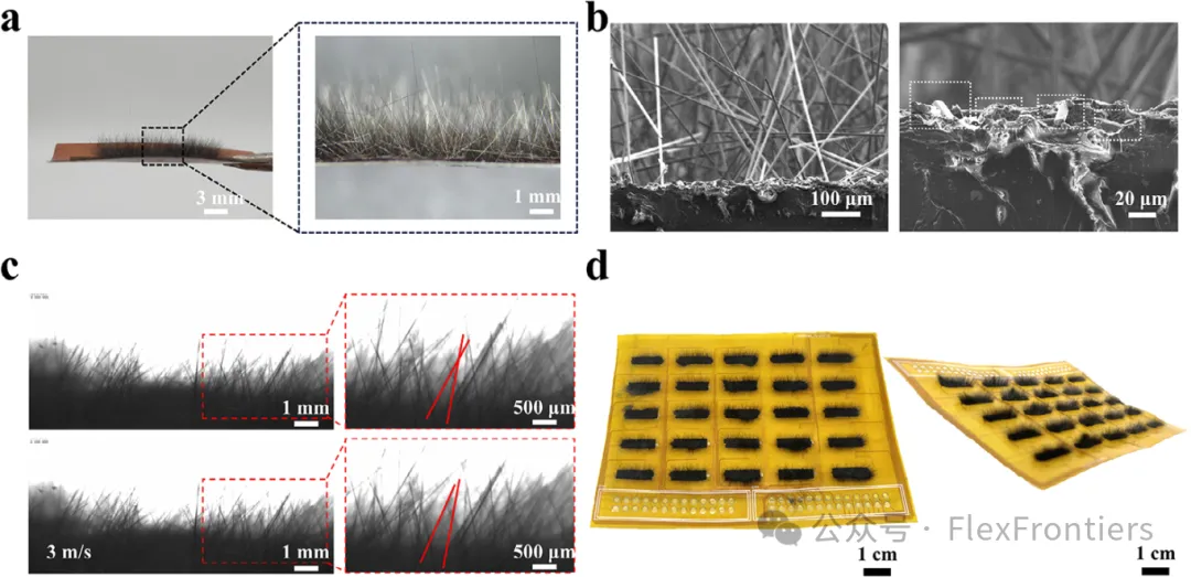 Bionic 'Electronic Hair': High-Sensitivity Flexible Airflow Sensor for Large-Area Sensing