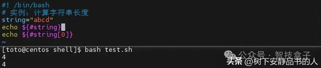 Unlocking Linux: Shell Programming Variables