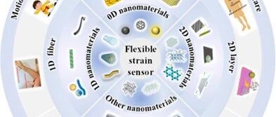 Design Strategies and Applications of Wearable Piezoresistive Strain Sensors with Dimensionality-Based Conductive Network Structures