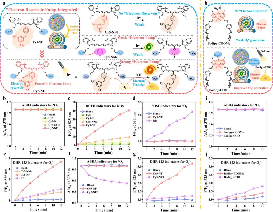 Controlled Electron Transfer: Development of Type I Photosensitizers through Energy Storage Pump Integration Strategy to Induce Long-term Tumor Immune Memory