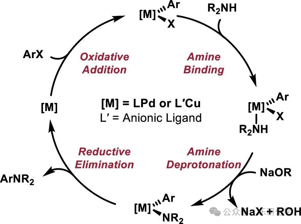 Cu-Catalyzed Ullmann Coupling with Anionic o-Phenylenediamine Ligands