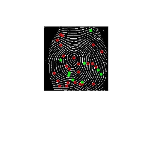 Fingerprint Recognition: Applications and MATLAB Code