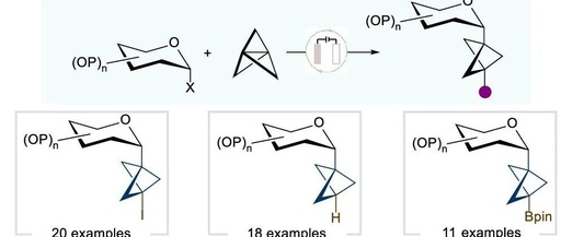 Unlocking Chemical Space: Electrochemically Driven Synthesis of Glycosyl Bicyclo[1.1.1]pentane Frameworks