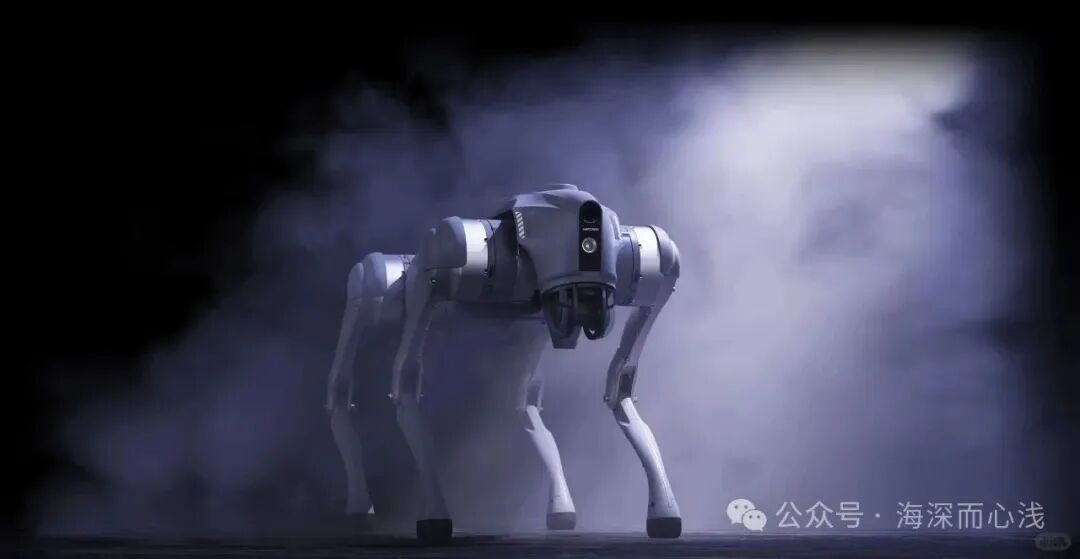 Reflections in Paris: The Robots at the Science Museum and My Unspoken Thoughts