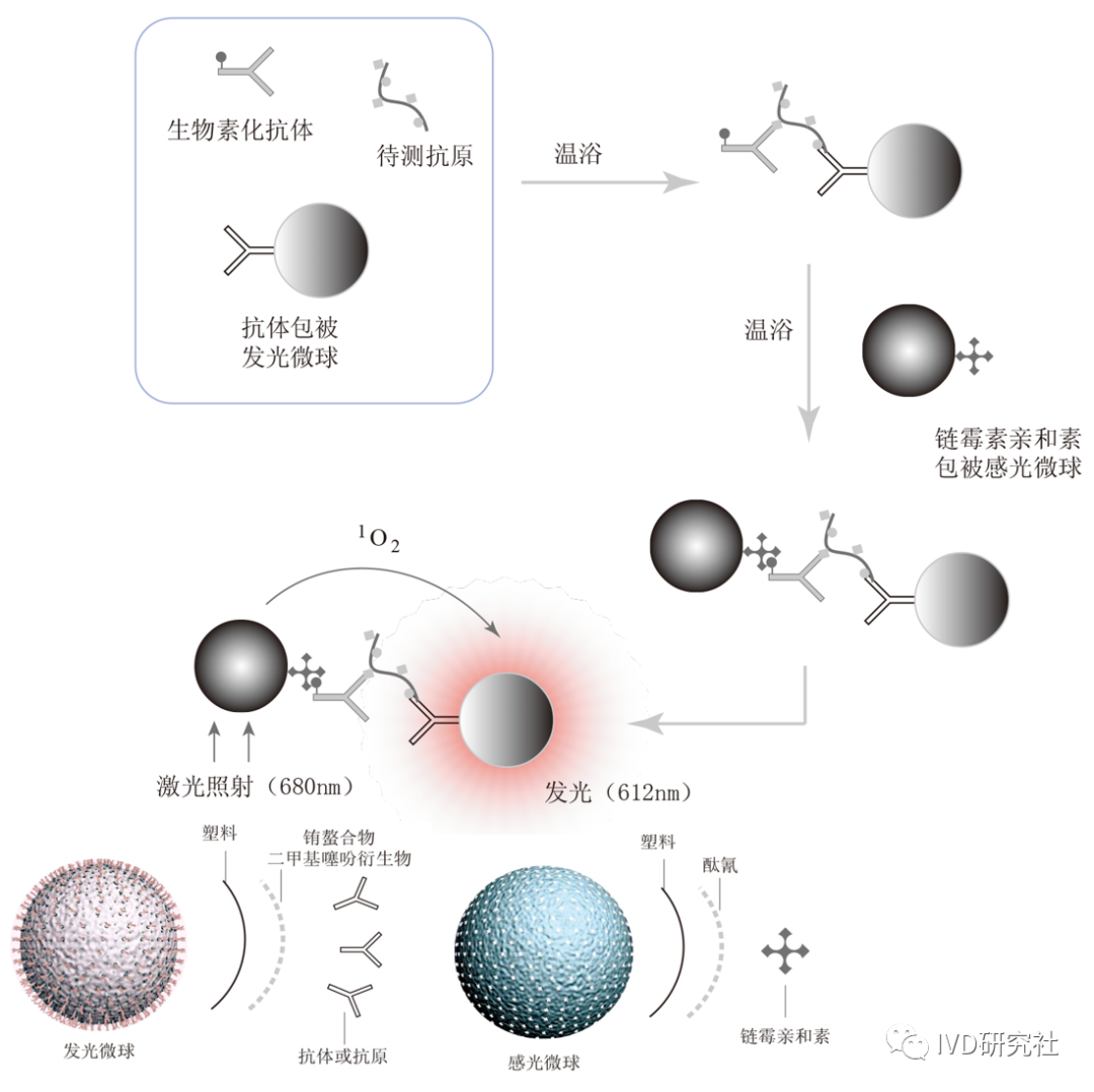 Overview of Chemiluminescent Immunoassay Analyzers
