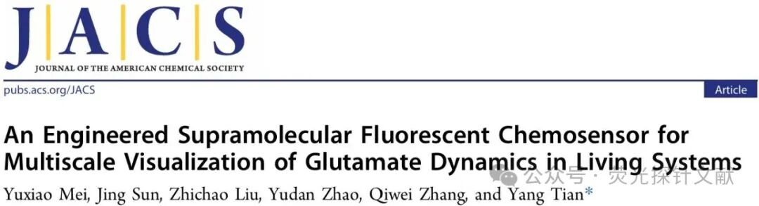 Engineering Supramolecular Fluorescent Chemical Sensors for Dynamic Multiscale Visualization of Glutamate in Living Systems