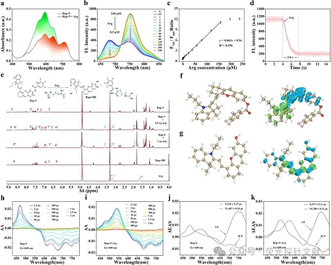 East China Normal University - Tian Yang: Revealing Dynamic Changes in Arginine Metabolism During Neuronal Differentiation Through Ratio Fluorescence Imaging