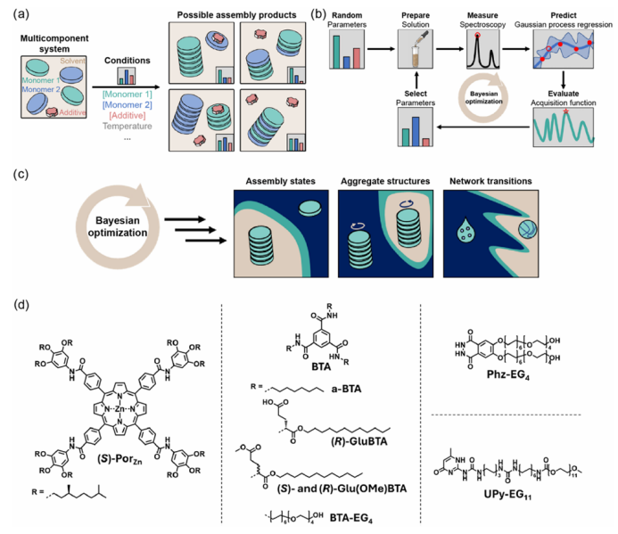 Bayesian Optimization for Multicomponent Supramolecular Systems