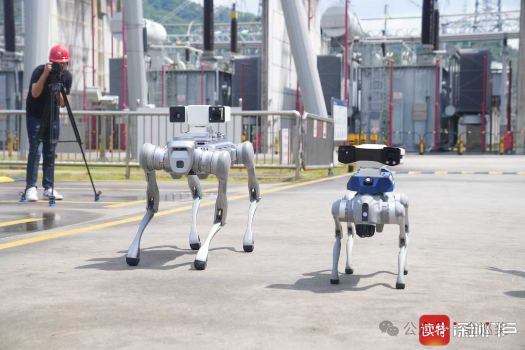 Shenzhen Power Supply Bureau: Building a Three-Dimensional Intelligent Inspection System with 'AI + Robots' for Land, Sea, and Air