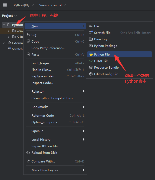 Python's 'Rstudio' - Pycharm