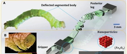 Breakthrough in 3D Printed Soft Robots! Load Capacity 30 Times Their Weight, Precise Navigation in Slippery Environments