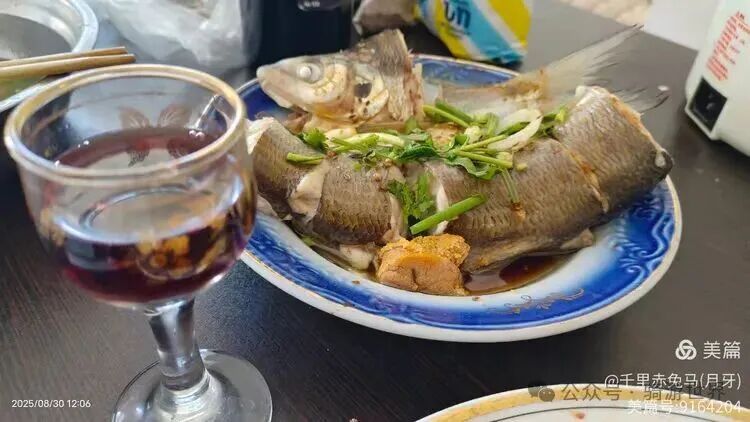 A Return Customer After Eating Fish; Cycling from 11°C to 38°C to Yerevan (Days 19-20 of Cycling in the Caucasus + Turkey)