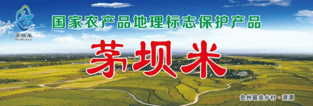 Interesting Summer Classes in Mashan, Meitan: Water Safety, AI Robots, and Crafts!