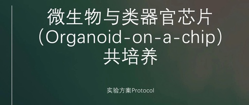 Protocol for Co-Culturing Microorganisms with Organoid-on-a-Chip Systems